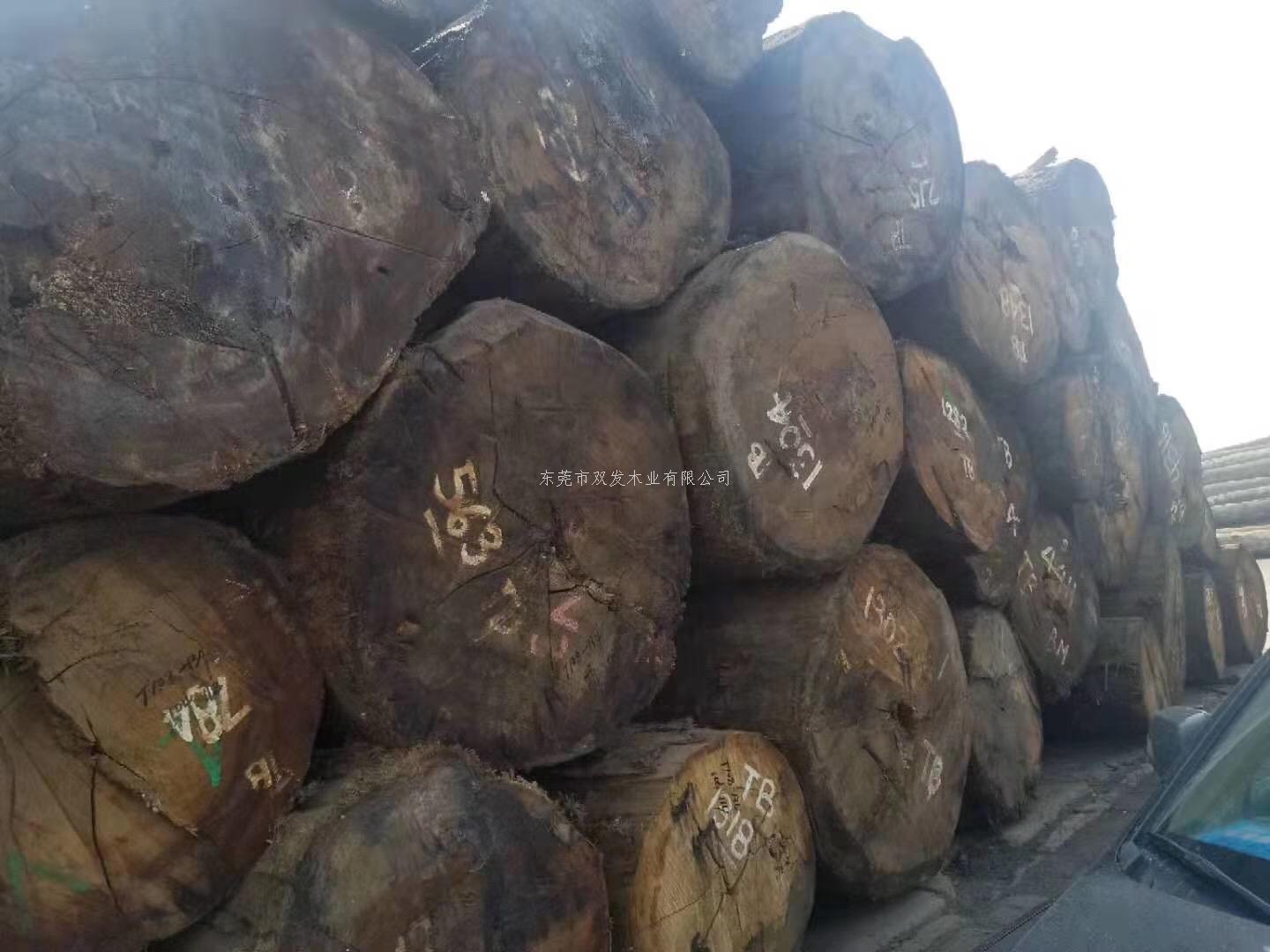 迎7月家具展，雙發(fā)木業(yè)原木加工進行中。。